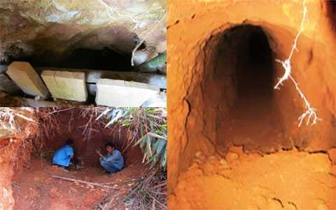 thuốc trừ sâu, vàng tặc, Thanh Hóa