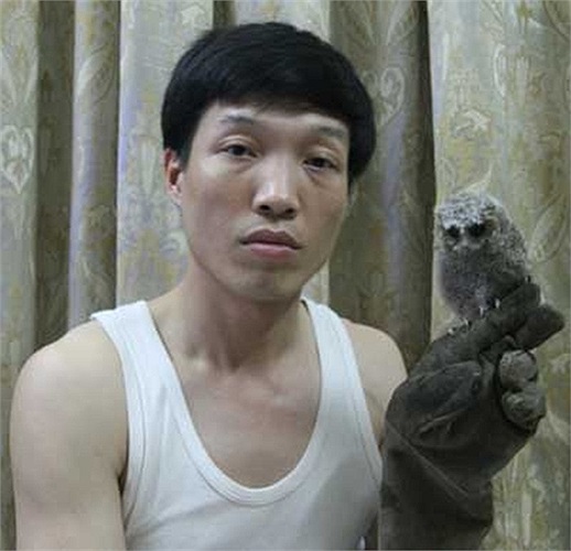 Nhiều người kỳ công nuôi cú mèo từ nhỏ để chúng quen với sự chăm sóc của con người và quấn quít với chủ khi lớn lên.