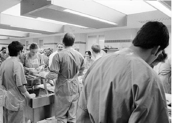 Đội ngũ các chuyên viên pháp y đang làm việc.