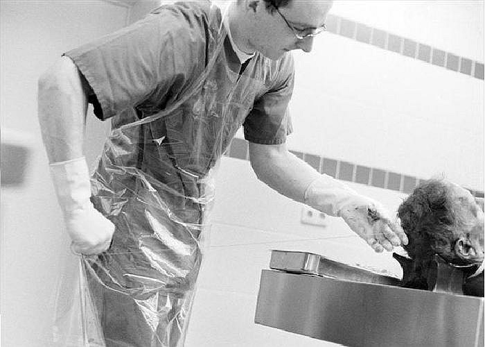 Một người đàn ông đang làm thủ tục khám nghiệm.