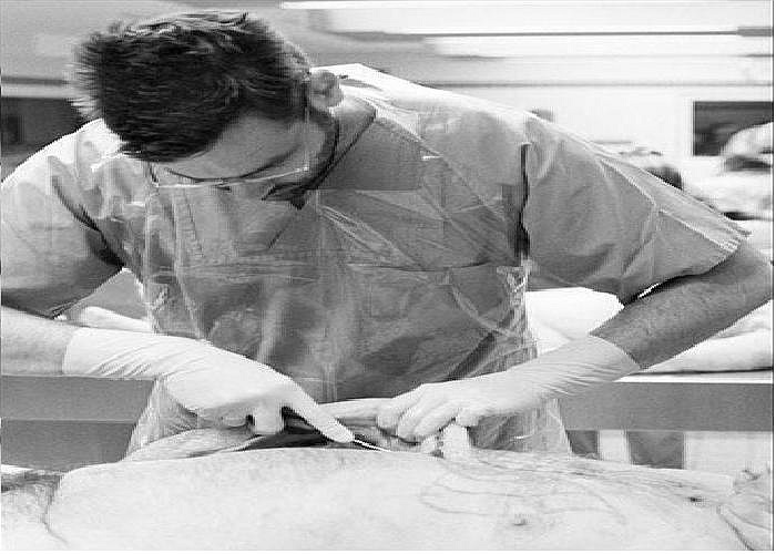 Một bác sĩ pháp y đang mổ.