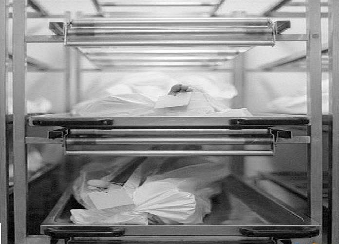 Những thân thể này sau khi khám nghiệm xong sẽ được đánh số.