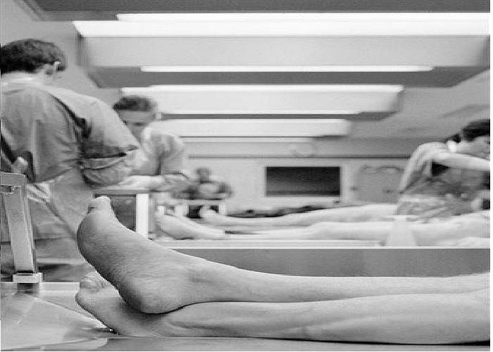 Mỗi người sẽ được nằm trên một chiếc giường dài.