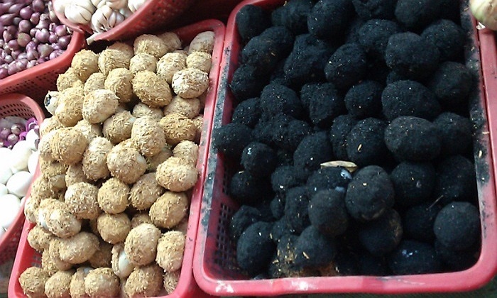 Hiện tại ngoài tỉnh Giang Tây ra, các địa phương khác của Trung Quốc vẫn chưa phát hiện ra có trứng bắc thảo độc.