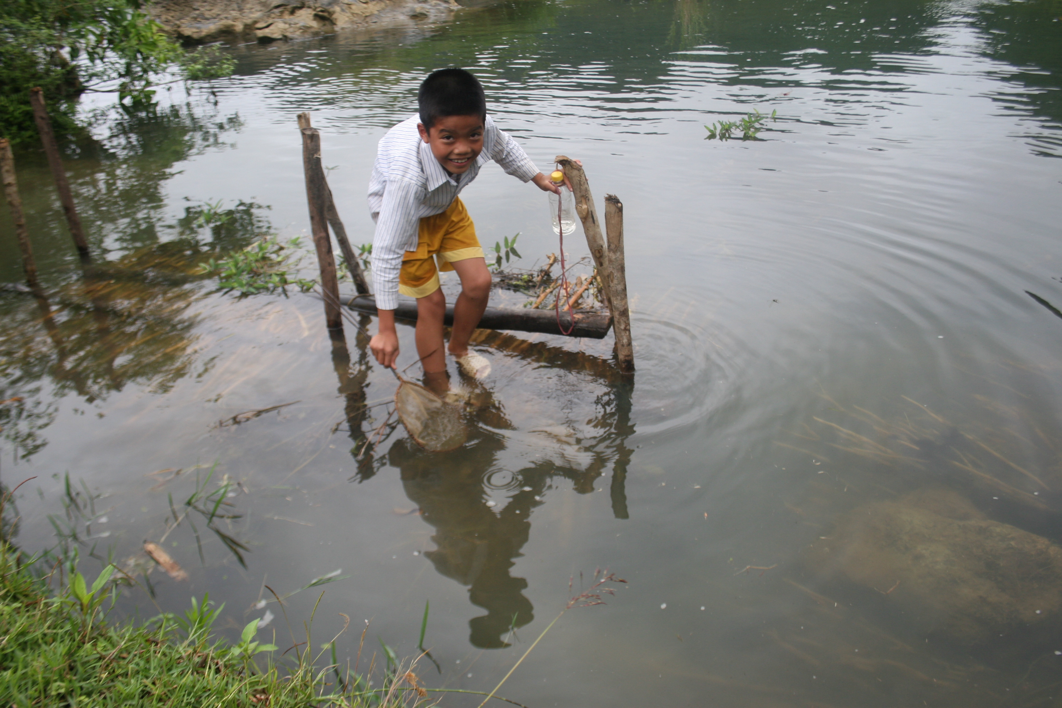 cá trầm, cá trầm xanh, cá trầm hương, tây bắc