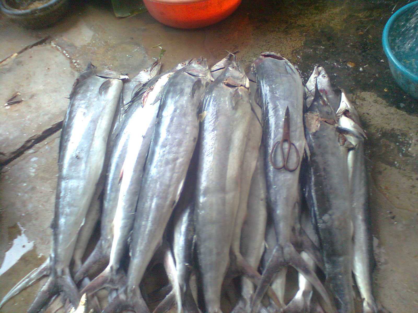 thủy sản