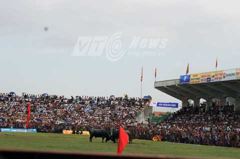 lễ hội chọi trâu Đồ Sơn, Hải Phòng, giấy mời, 'ông trâu'