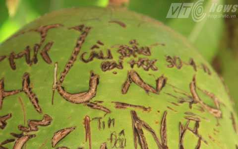 Đà Nẵng, thi ĐH, tuyển sinh, thí sinh, sĩ tử, cầu nguyện, lên chùa