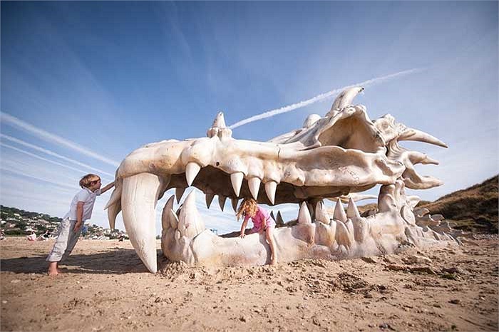 Đó là một hộp sọ khổng lồ với kích thước tương đương chiếc xe buýt, dường như là của một con rồng hay khủng long gì đó.