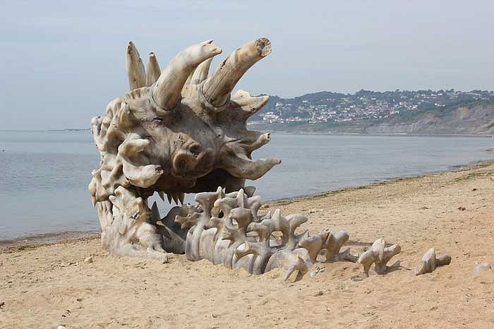 Khu vực bãi biển Charmouth cũng là nơi từng phát hiện ra nhiều hóa thạch “xịn” có niên đại từ hàng trăm triệu năm về trước.