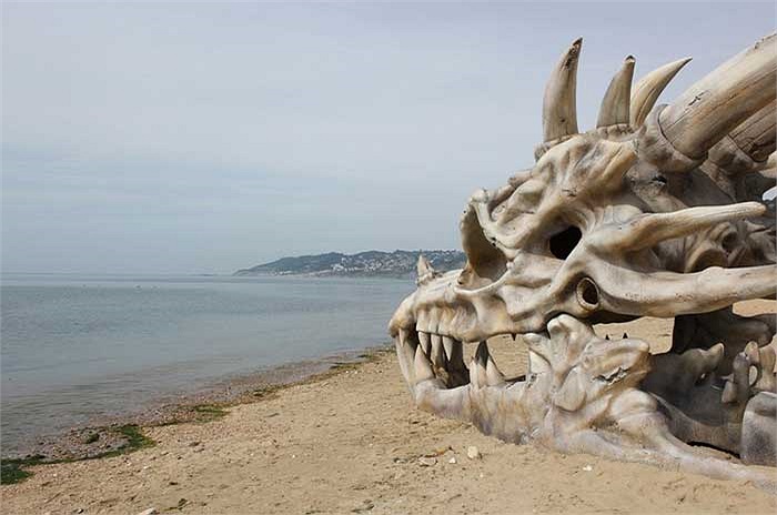 Chính vì thế mà ban đầu nhiều người đã đinh ninh rằng họ vừa tìm được một hóa thạch kỳ lạ từ kỷ Jura.