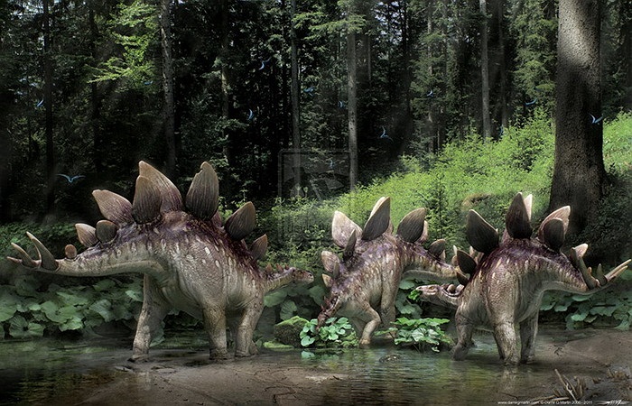 Stegosaurus (thằn lằn gai) là một chi khủng long phiến sừng thuộc cận bộ Stegosauria, sống từ Hậu Jura (khoảng 150 triệu năm trước) ở miền Tây Bắc Mỹ ngày nay. 