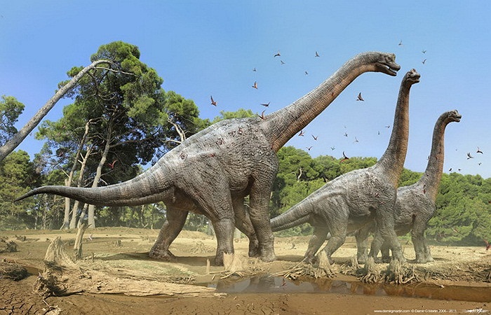 Brachiosaurus là một loài khủng long ăn cỏ sống cuối kỷ Jura (khoảng 150 triệu năm trước) ở kiến tạo núi Morrison của Bắc Mỹ . Đây là một loài khủng long khổng lồ, nặng khoảng 40 tấn có cổ dài, đuôi khá ngắn so với tổng quan và hộp so nhỏ. 