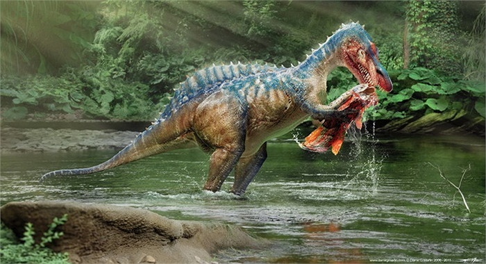 Spinosaurus là một chi khủng long ăn thịt sinh sống tại Bắc Phi trong các giai đoạn Albian và Cenomanian của kỷ Phấn trắng, khoảng 112 – 97 triệu năm trước.