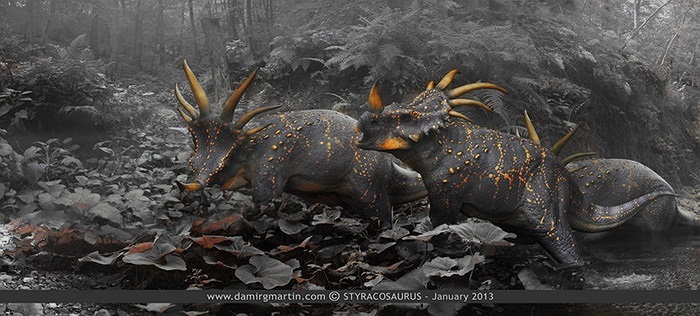 Styracosaurus là một chi khủng long sừng thuộc họ Ceratopsidae sống vào cuối kỷ Phấn Trắng, khoảng 76,5- 75 triệu năm trước ở vùng Bắc Mỹ ngày nay.