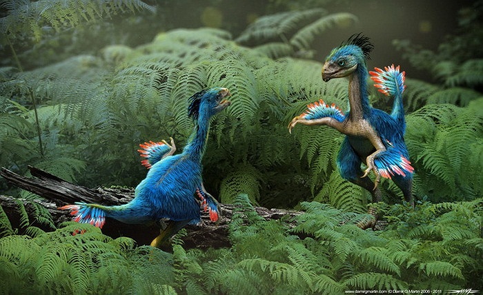 Caudipteryx (có nghĩa là 'đuôi lông vũ') là loài khủng long thuộc chi ăn thịt có kích thước bằng con công sống trong giai đoạn Aptian của kỷ Phấn trắng sớm (khoảng 124 triệu năm trước). Toàn than của loài khủng long này được lông vũ bao phủ.