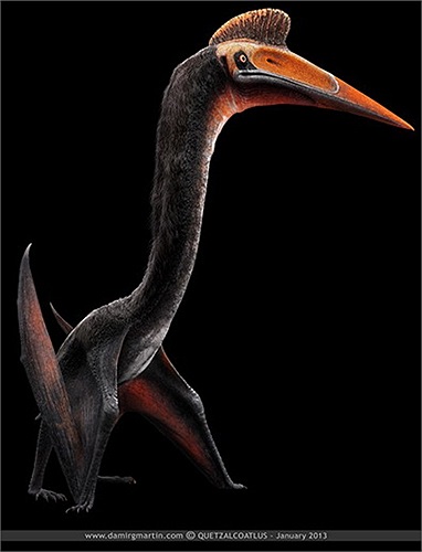 Quetzalcoatlus là một loài khủng long bay được biết đến từ kỷ Phấn Trắng muộn của Bắc Mỹ, khoảng 68-65.5 triệu năm trước. Với chiều cao 10m, nặng 200kg,sải cánh 15m, chúng là một trong những sinh vật biết bay lớn nhất từng tồn tại trên hành tinh.