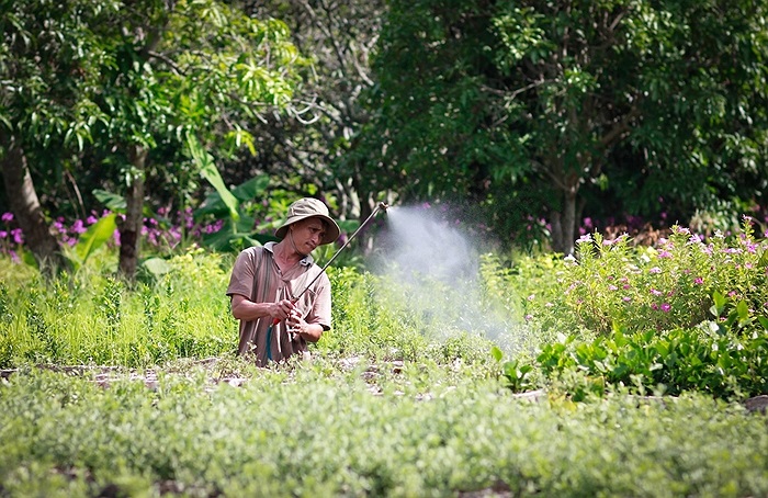 Trong ảnh là tác phẩm đoạt giải nhất Photo Tour 2013 - Theo dấu người tình của tác giả Nguyễn Việt Tú chụp làng hoa Sa Đéc - Đồng Tháp.