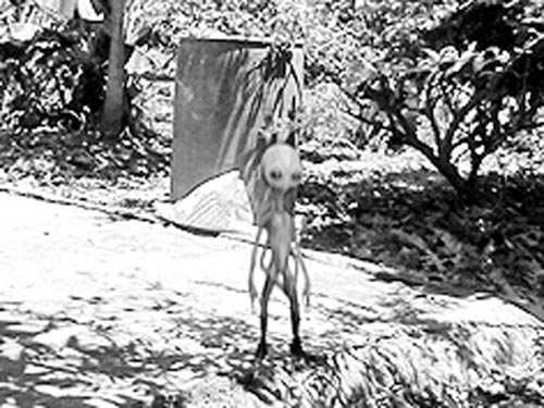 Sự thật 'người ngoài hành tinh' ở Việt Nam