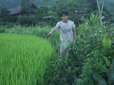 Nơi bắt được con trăn. Ảnh: Lê Mận