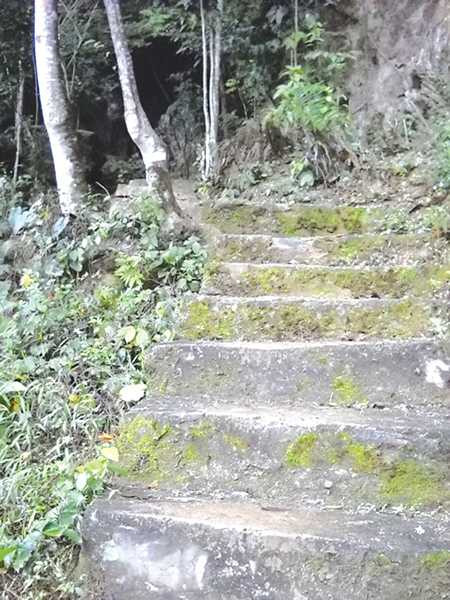 Những chuyện ly kỳ về hang cá thiêng nhất xứ Thanh