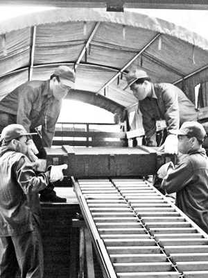 bác sĩ, tên lửa, bom đạn