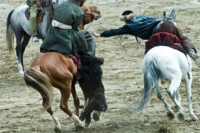 ... hay đùa giỡn với xác con dê.