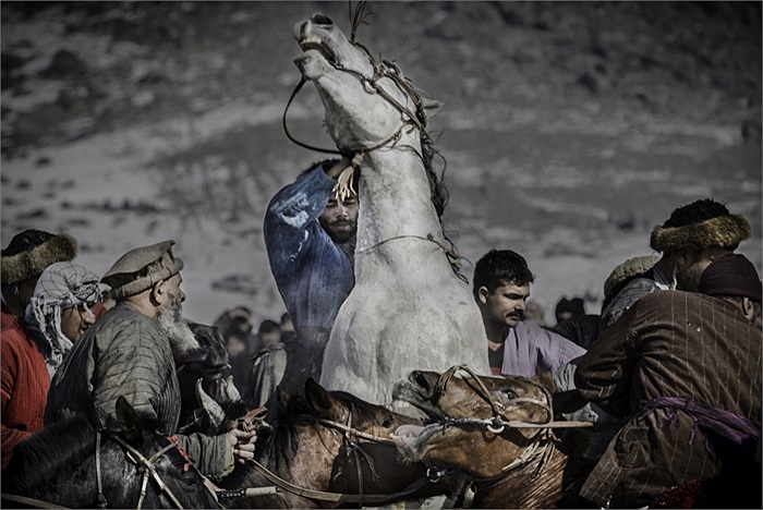 Trên thực tế, môn thể thao này đã dần trở thành công cụ cá cược, tiêu khiển của giới chức quân sự dựa trên mồ hôi và tính mạng người dân.