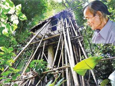 Tận thấy nhà trên cây, bẫy thú của 'người rừng'