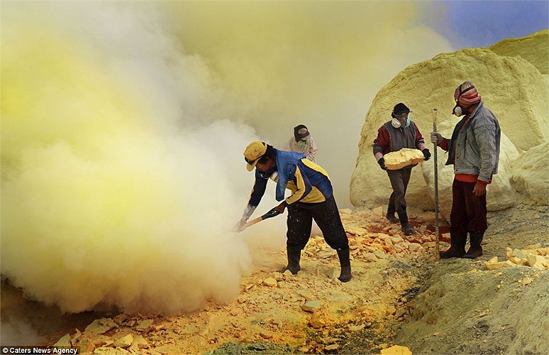 Trong điều kiện làm việc khắc nghiệt nhất nhưng người dân vẫn không có chọn lựa nào khác ngay cả khi mức thu nhập thấp hơn cả công việc trong vườn cà phê.