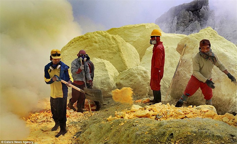 Khoảng 200 thanh niên đánh đổi mạng sống của mình tìm kế sinh nhai bằng việc khai thác quặng lưu huỳnh độc hại từ sâu trong miệng núi lửa Kawah với mức lương 3 bảng/ngày. 