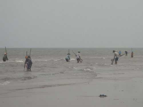 tàu cá, kéo lưới, tai nạn, thanh hóa