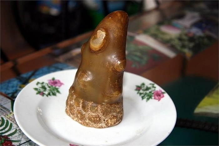 Những chiếc 'sừng' như vậy chỉ lừa được những người thừa tiền nhưng nhẹ dạ cả tin. Chiếc 'sừng' này được rao bán rất mùi mẫn: 'Tôi có một cái sừng tê giác do ông nội tôi để lại (Thời ông tôi mua cách nay hơn 40 năm). Nay gia đình cần tiền nên bán. Ai