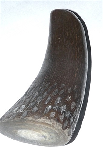 'Do nhà dư dùng nên bán lại cho những người nào cần sừng tê giác (loại tốt, màu đen, hàng thật, giả cho anh em luôn). Hồi trước có quen một người bộ đội người ta bán lại, xài rất ít còn lại cũng nhiều. Lúc trước mua gần 2000$, nay để lại cho anh em 1