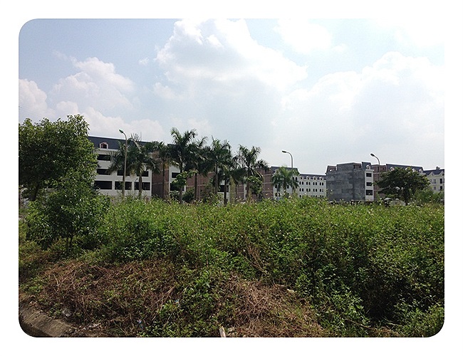 Khu trung tâm thương mại gồm 3 toà nhà thiết kế theo phong cách hiện đại với không gian mở kết hợp với hệ thống đường giao thông thuận lợi tạo điều kiện lý tưởng cho một khu trung tâm mua sắm sầm uất, nhưng đến nay vẫn chưa thấy bóng người ở.