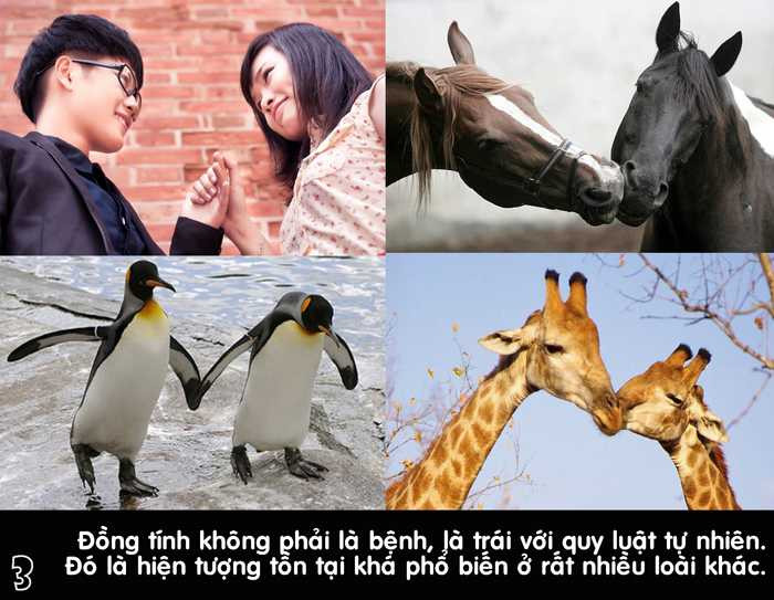 Thạc sỹ Nguyễn Hoàng Khắc Hiếu