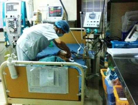 Theo chị đi chăn trâu, bé 4 tuổi bị ong đốt 80 vết