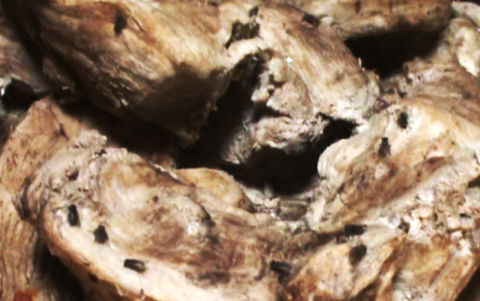 TP.HCM, hô biến, thịt heo, khô bò, quận Bình Tân