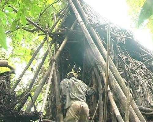 người rừng, chòi tổ chim, lều, quảng ngãi, đồng bào cor, tục lệ