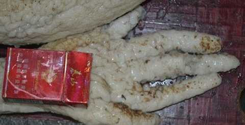 người ngoài hành tinh