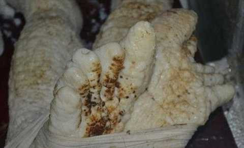 người ngoài hành tinh