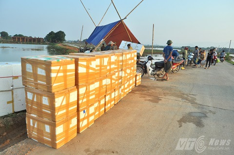 Bí ấn đằng sau cơn sốt ốc bươu vàng ở Hà Nội?