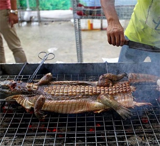 Theo nhiều đầu bếp quảng cáo, thịt cá sấu ăn rất bổ và thơm. Trong ảnh là một đầu bếp đang xẻ thịt cá sấu nướng bán cho thực khách.