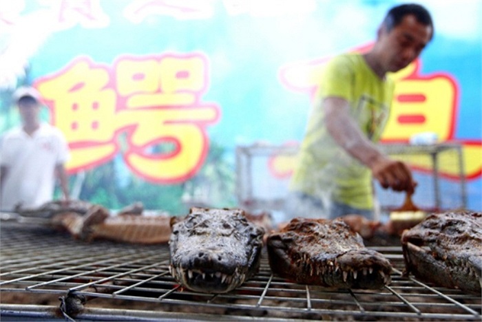 Để mua được một phần cá sấu, các khách hàng phải bỏ ra 8 USD (khoảng 170 ngàn đồng).