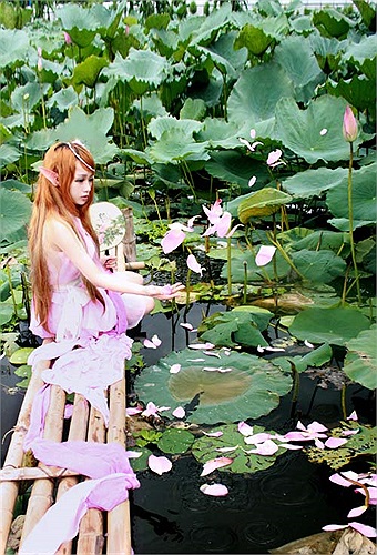 Khung cảnh đầy lãng mạn khiến cho bộ ảnh có sức cuốn hút kỳ lạ