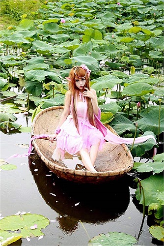 Một mình giữa đầm sen rộng lớn