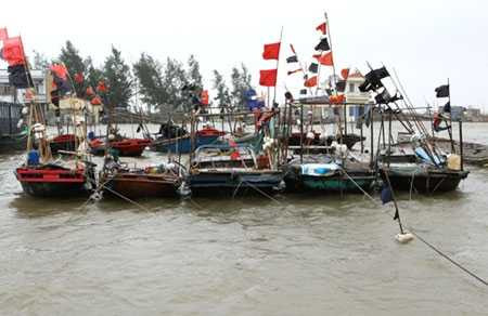 bão bebinca, bão số 2, quảng ninh, mưa lớn, áp thấp nhiệt đới