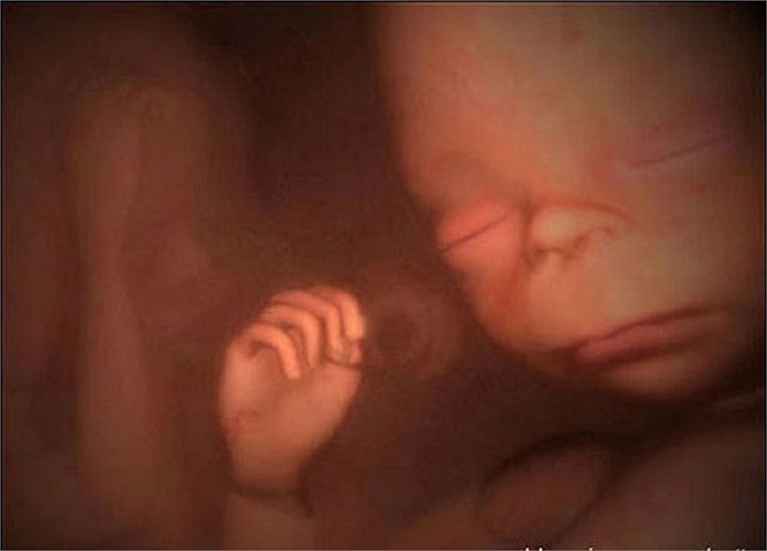 Mắt nhắm nghiền nhưng vẫn có cảm giác.