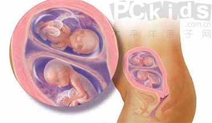 16 tuần, đã lớn hơn.