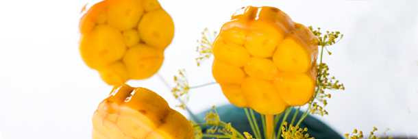 Top 6 món ăn kỳ cục của giới siêu giàu